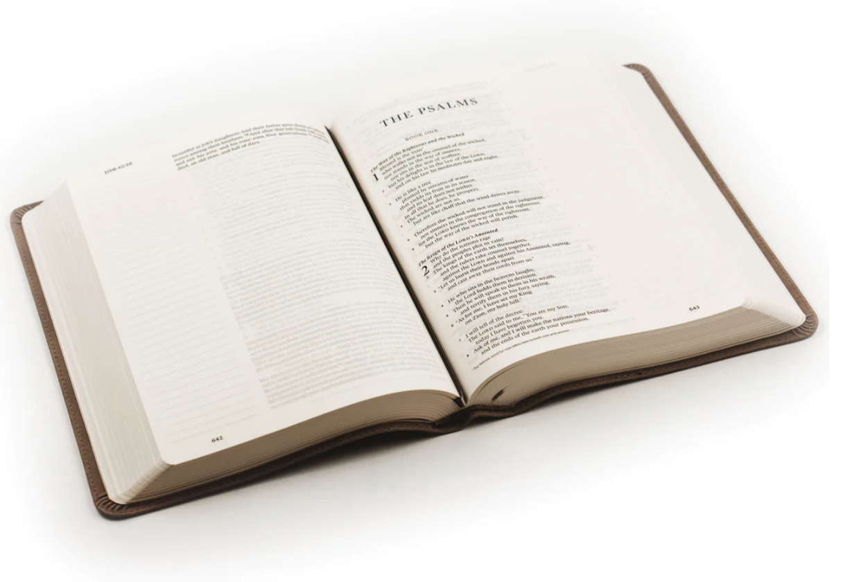 ESV Single Column Journaling Bible, Large Print: Nara Theme
