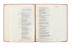 ESV Single Column Journaling Bible: Shiloh Theme