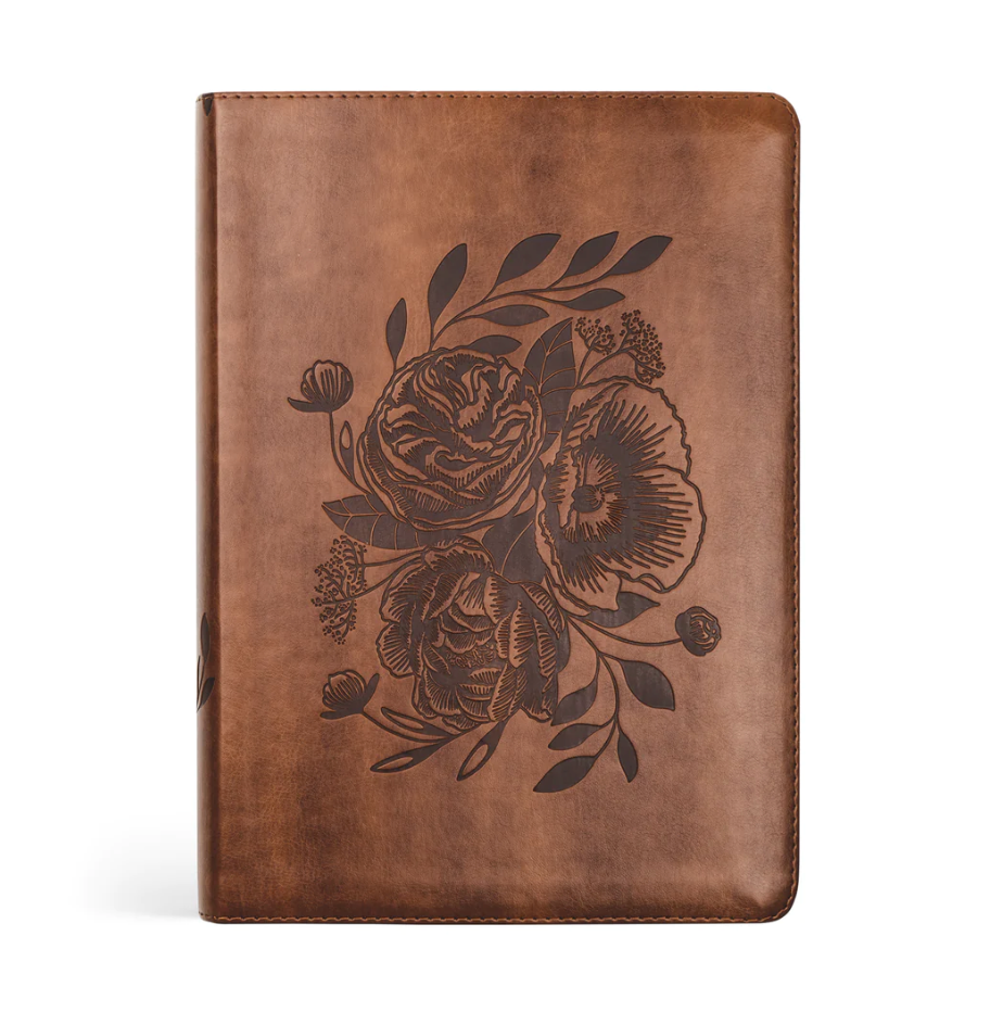 ESV Journaling Bible: Aurora Theme