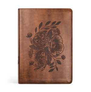 ESV Journaling Bible: Aurora Theme