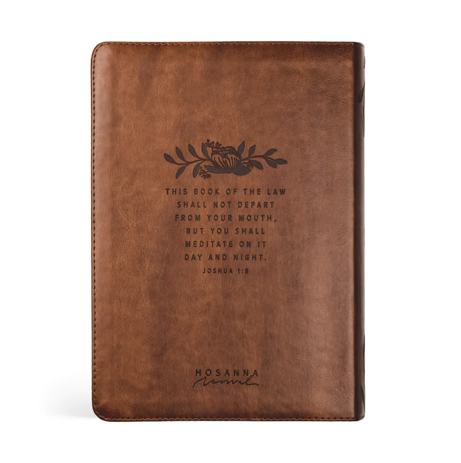 ESV Journaling Bible: Aurora Theme