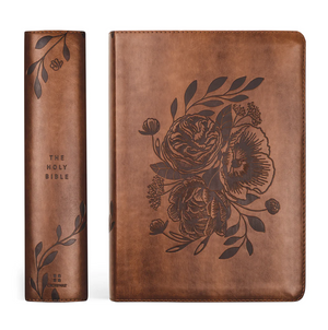 ESV Journaling Bible: Aurora Theme