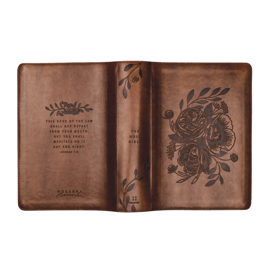 ESV Journaling Bible: Aurora Theme