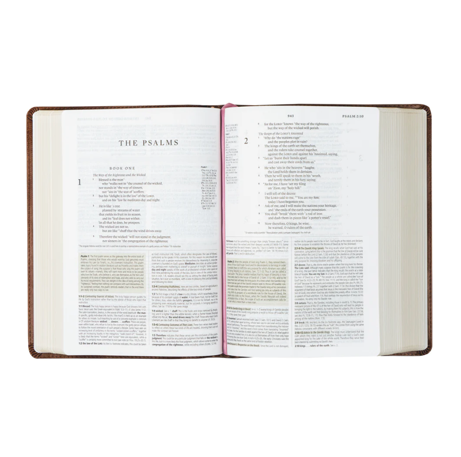 ESV Journaling Bible: Aurora Theme
