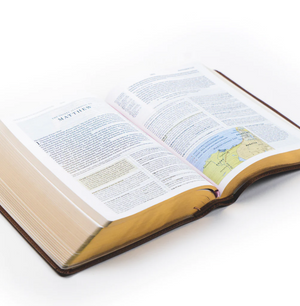 ESV Journaling Bible: Aurora Theme