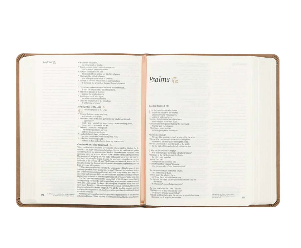 NLT Journaling Bible: Galilee Theme