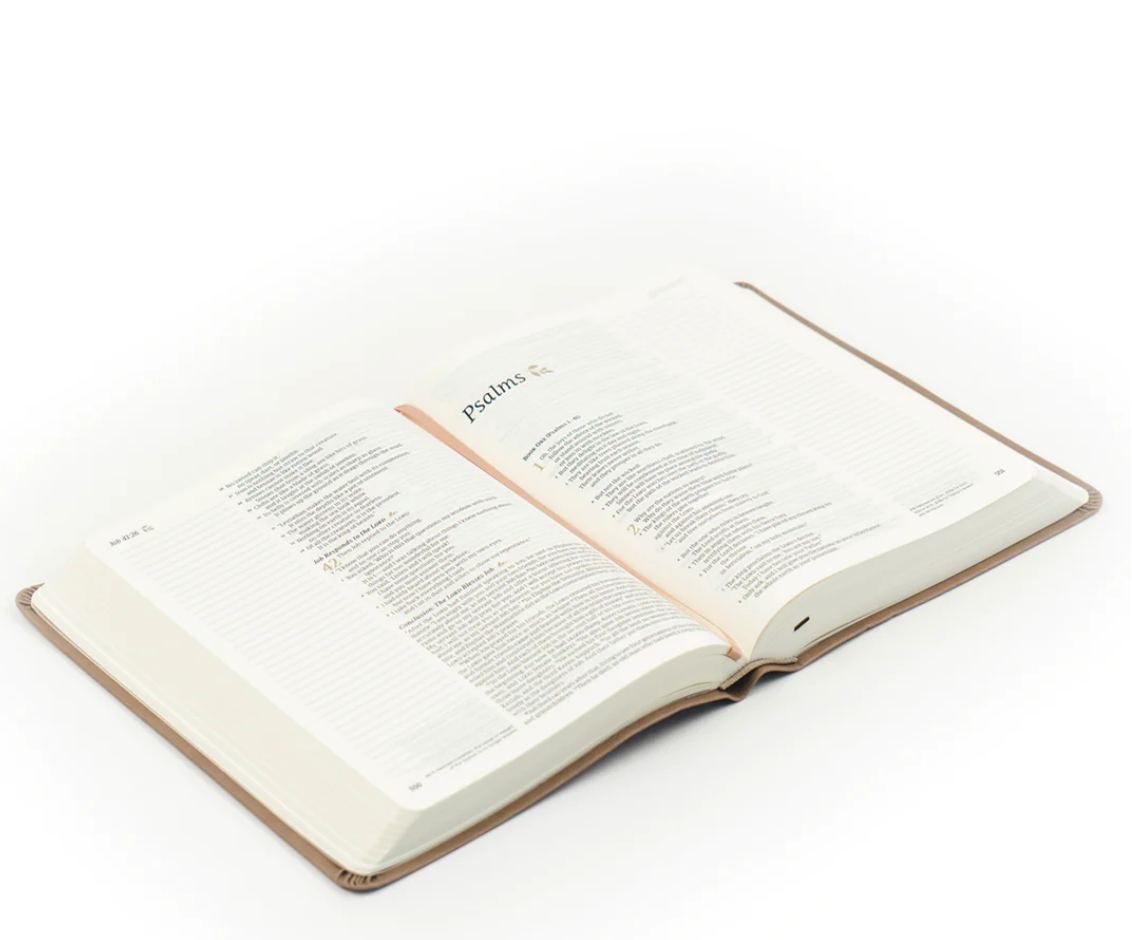 NLT Journaling Bible: Galilee Theme
