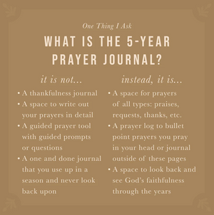 One Thing I Ask | 5-Year Prayer Journal: Stockholm Theme