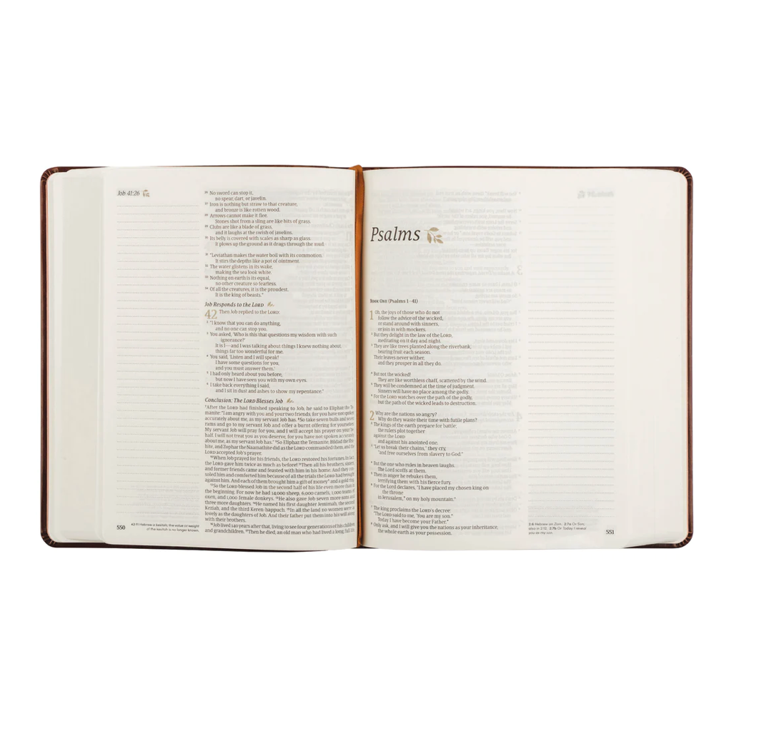 NLT Journaling Bible: Santa Elena Theme