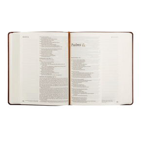 NLT Journaling Bible: Santa Elena Theme