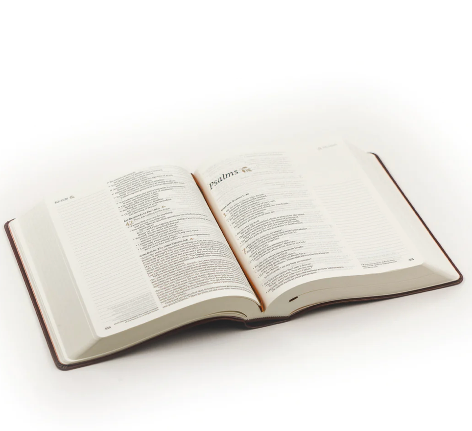 NLT Journaling Bible: Santa Elena Theme