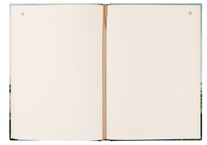 Notebook: Dublin Theme