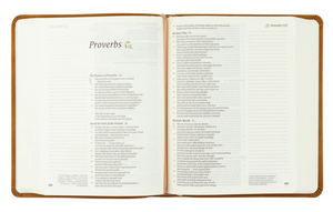 CSB NOTETAKING BIBLE : AMELIA THEME