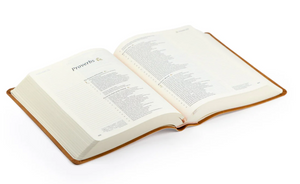 CSB NOTETAKING BIBLE : AMELIA THEME