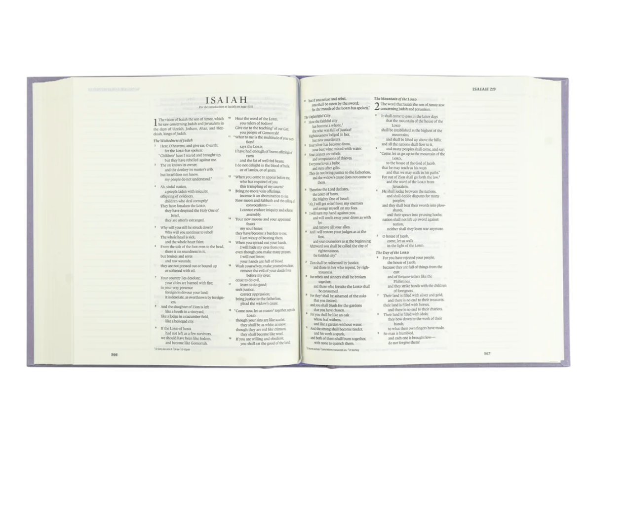 ESV Journaling Bible: Provence Theme