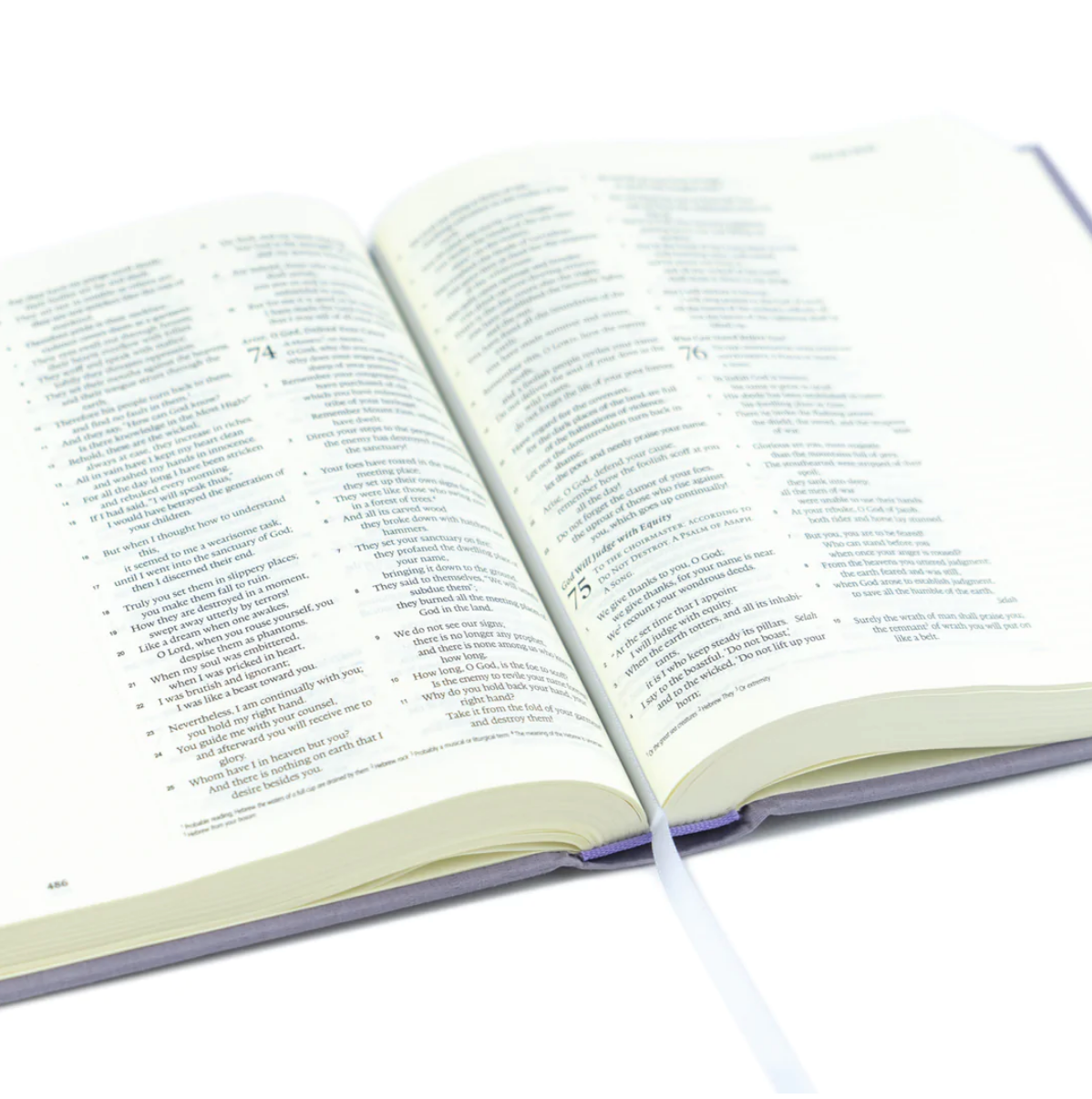 ESV Journaling Bible: Provence Theme