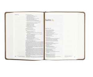NLT Journaling Bible: Marlo Theme