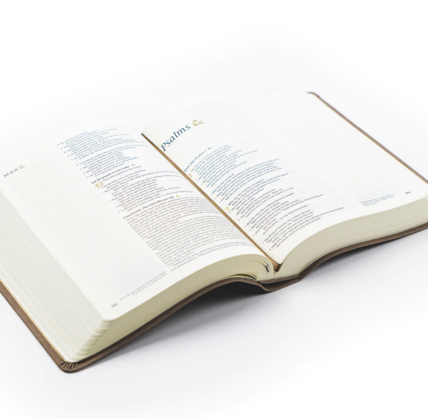 NLT Journaling Bible: Marlo Theme
