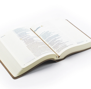NLT Journaling Bible: Marlo Theme