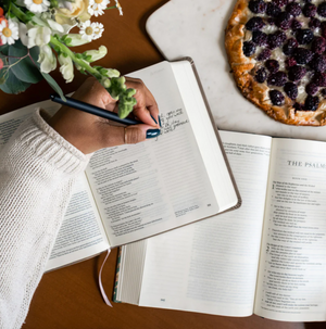 NLT Journaling Bible: Marlo Theme