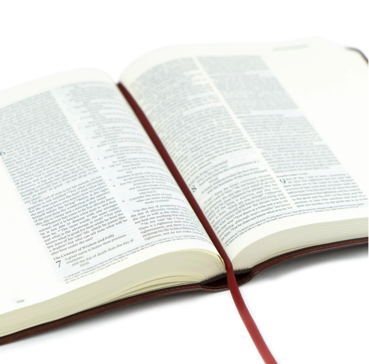 ESV Journaling Bible: Yorkshire Theme