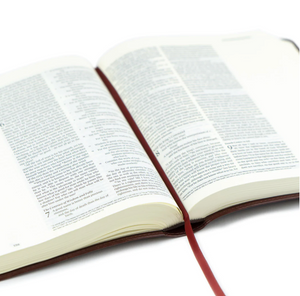ESV Journaling Bible: Yorkshire Theme
