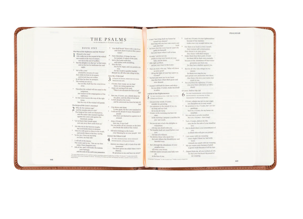 ESV Journaling Bible: Sierra Theme