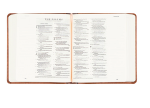 ESV Journaling Bible: Sierra Theme