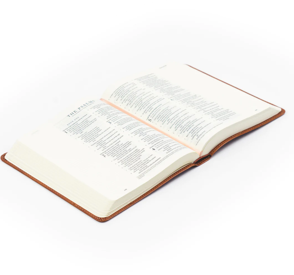 ESV Journaling Bible: Sierra Theme