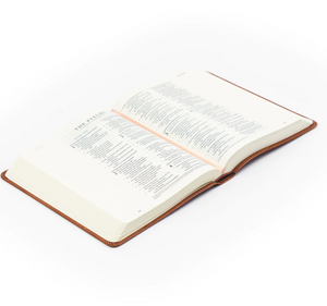 ESV Journaling Bible: Sierra Theme