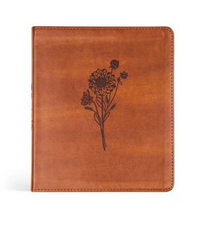 ESV Journaling Bible: Sierra Theme