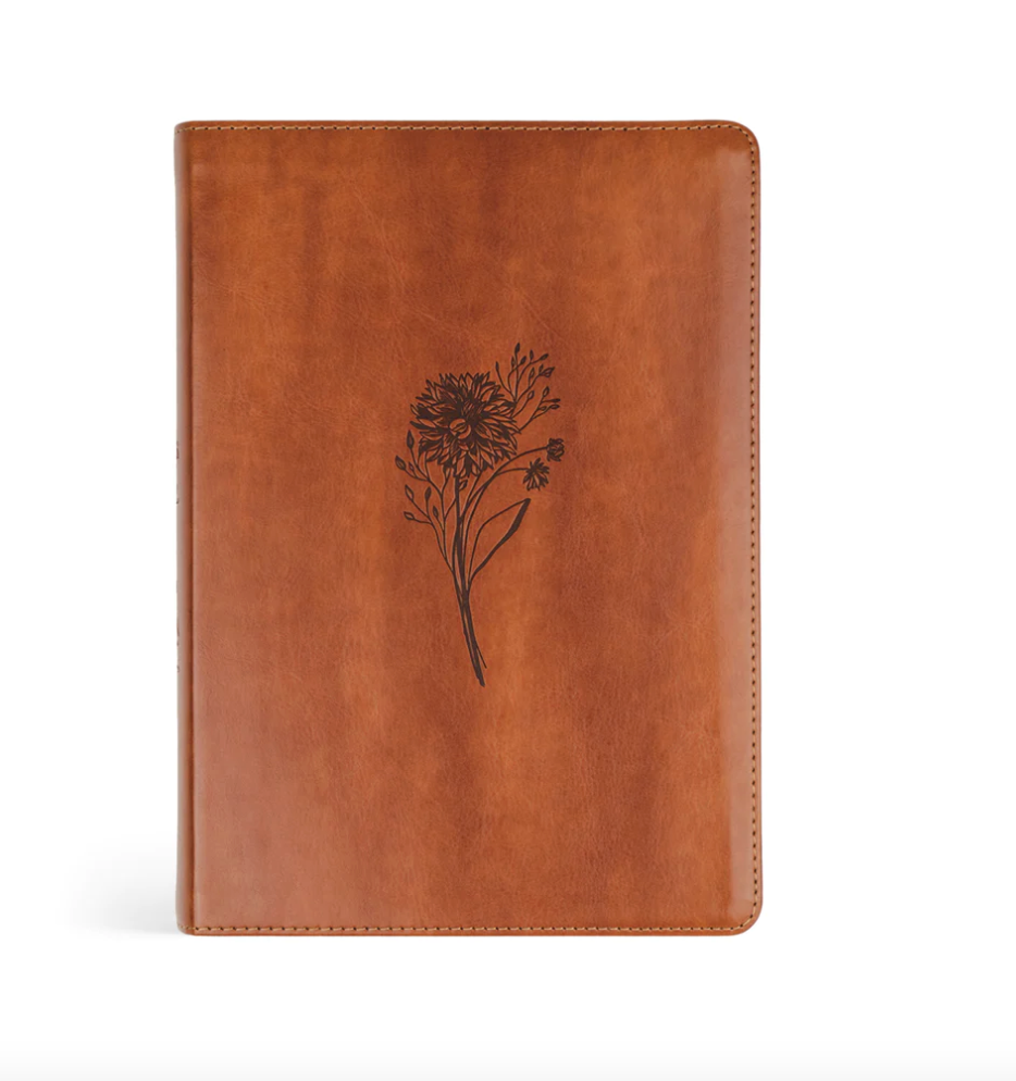 ESV Large Print Journaling Bible: Sierra Theme