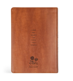 ESV Large Print Journaling Bible: Sierra Theme