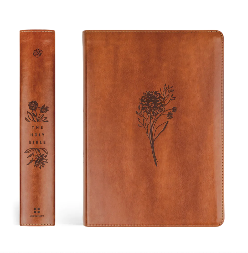ESV Large Print Journaling Bible: Sierra Theme