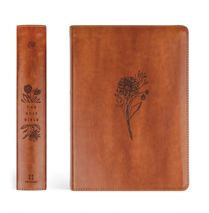 ESV Large Print Journaling Bible: Sierra Theme