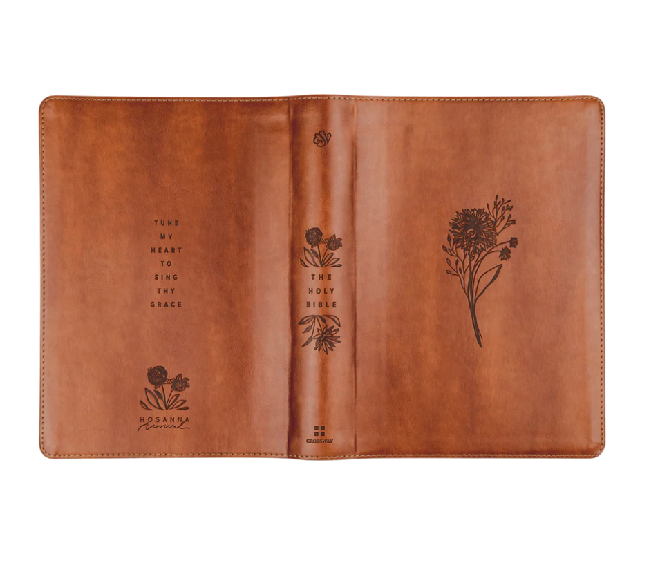 ESV Large Print Journaling Bible: Sierra Theme