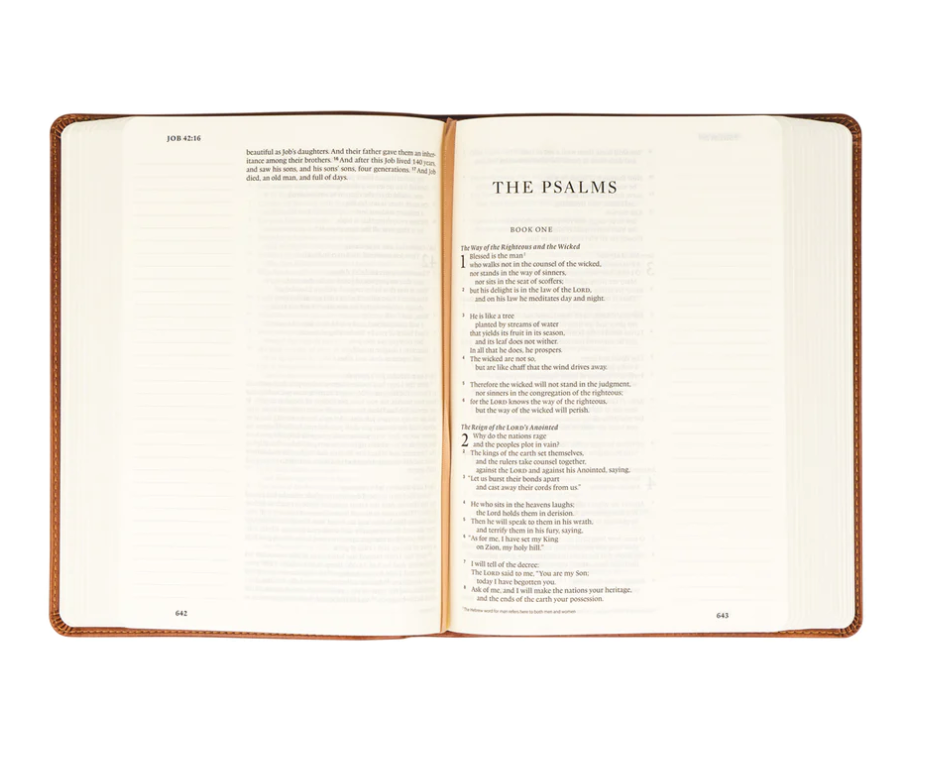ESV Large Print Journaling Bible: Sierra Theme
