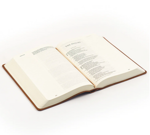 ESV Large Print Journaling Bible: Sierra Theme