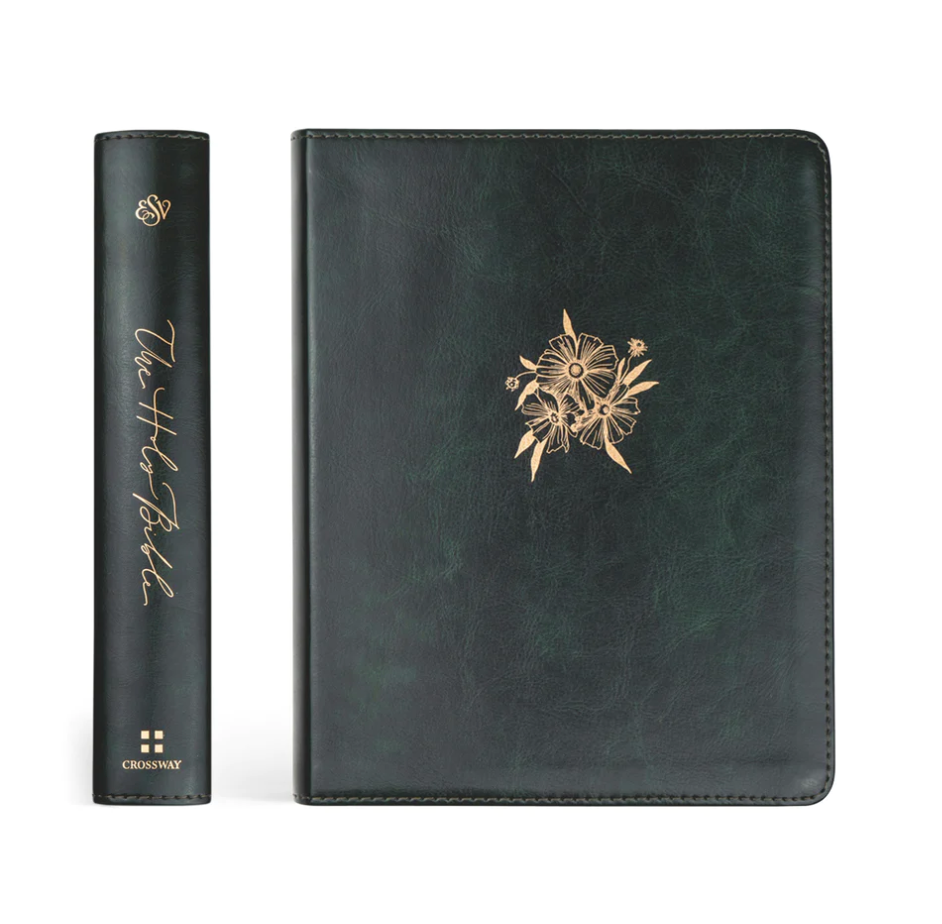 ESV Journaling Bible: Hyde Park Theme