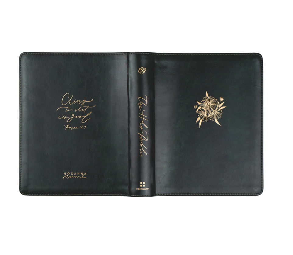 ESV Journaling Bible: Hyde Park Theme