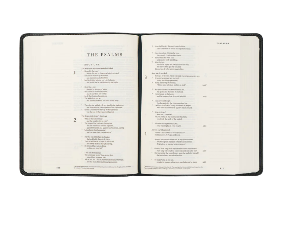 ESV Journaling Bible: Hyde Park Theme
