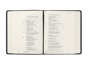 ESV Journaling Bible: Hyde Park Theme