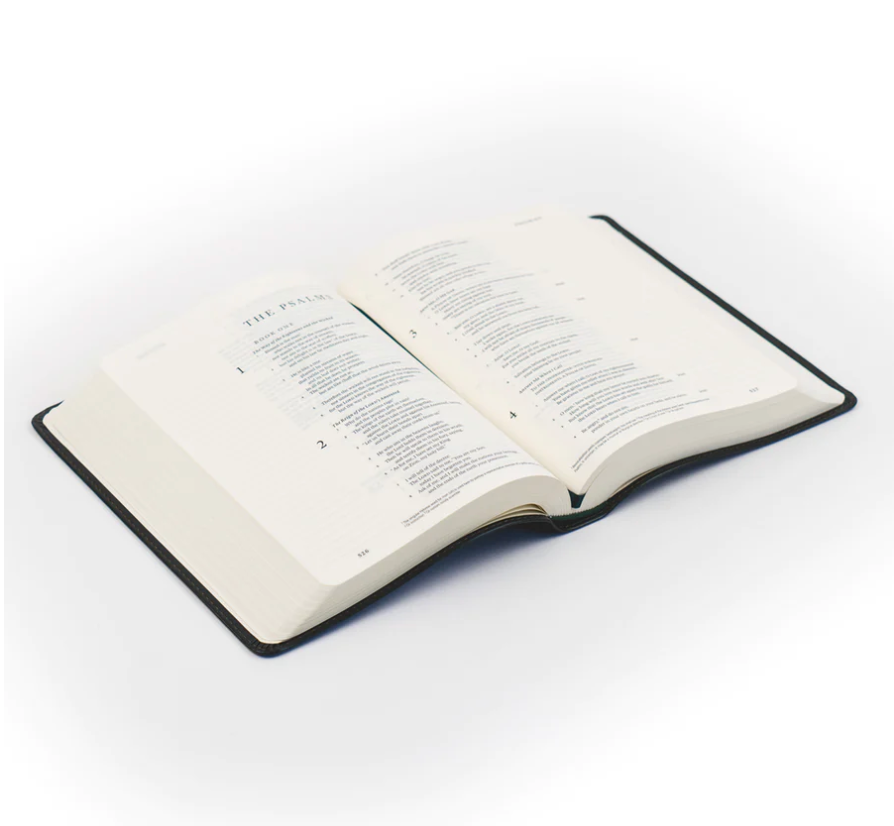 ESV Journaling Bible: Hyde Park Theme