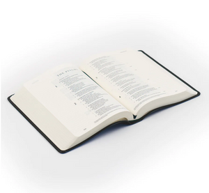 ESV Journaling Bible: Hyde Park Theme