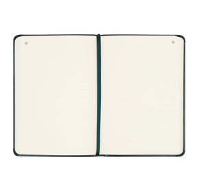 Notebook: Hyde Park Theme