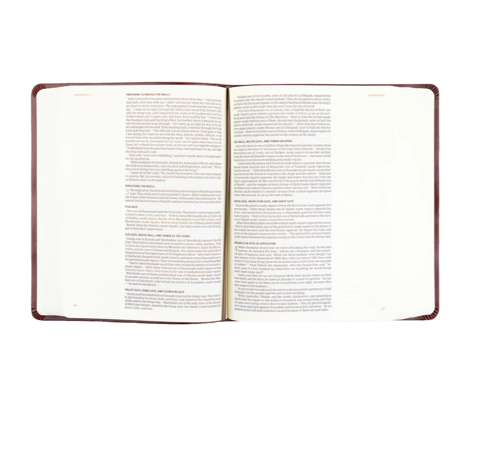 CSB Journaling Bible: Anchorage Theme