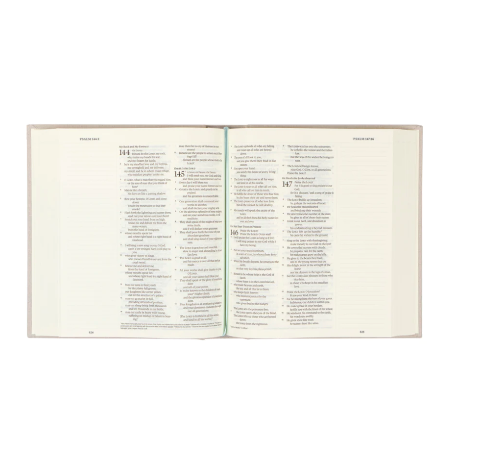 ESV Journaling Bible: Capestrano Theme