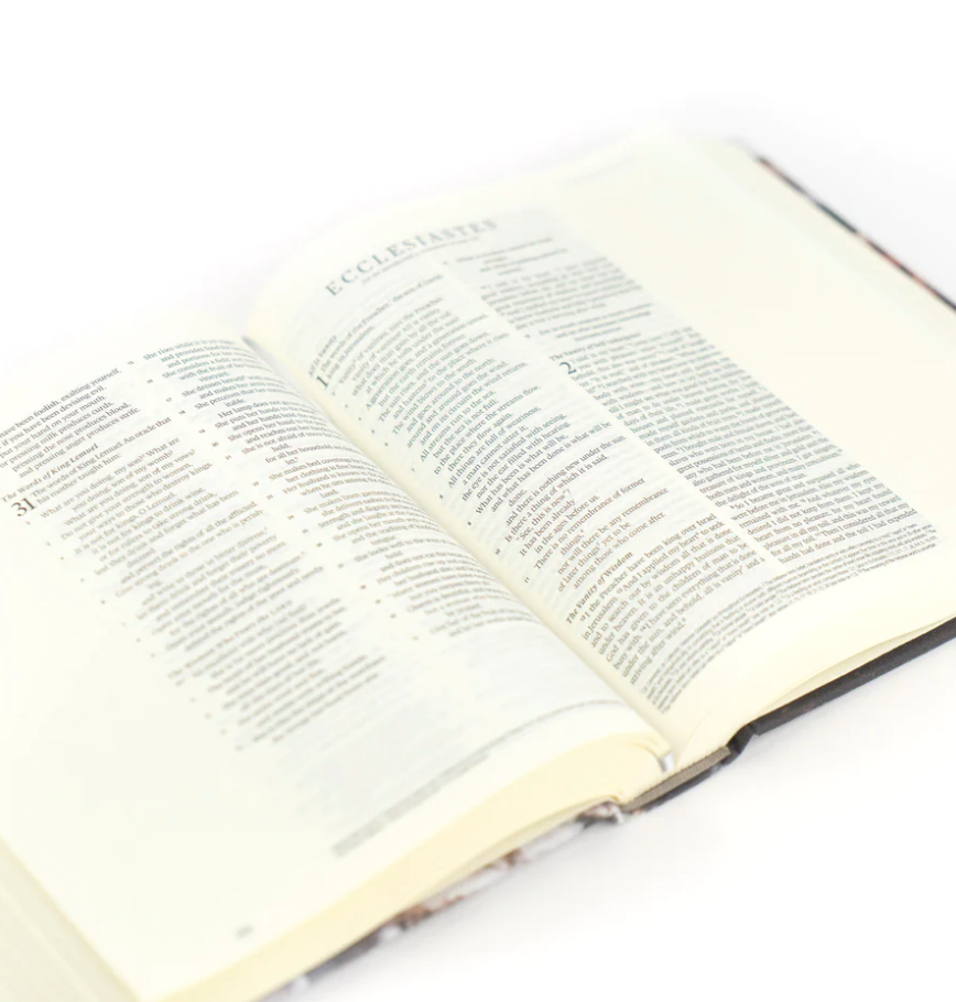 ESV Journaling Bible: Zermatt Theme